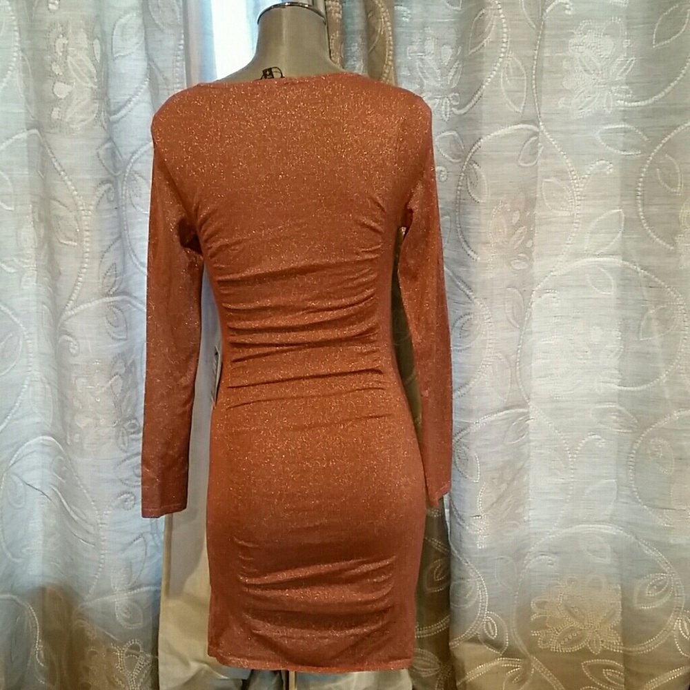 Express Dress - Picture 3 of 6